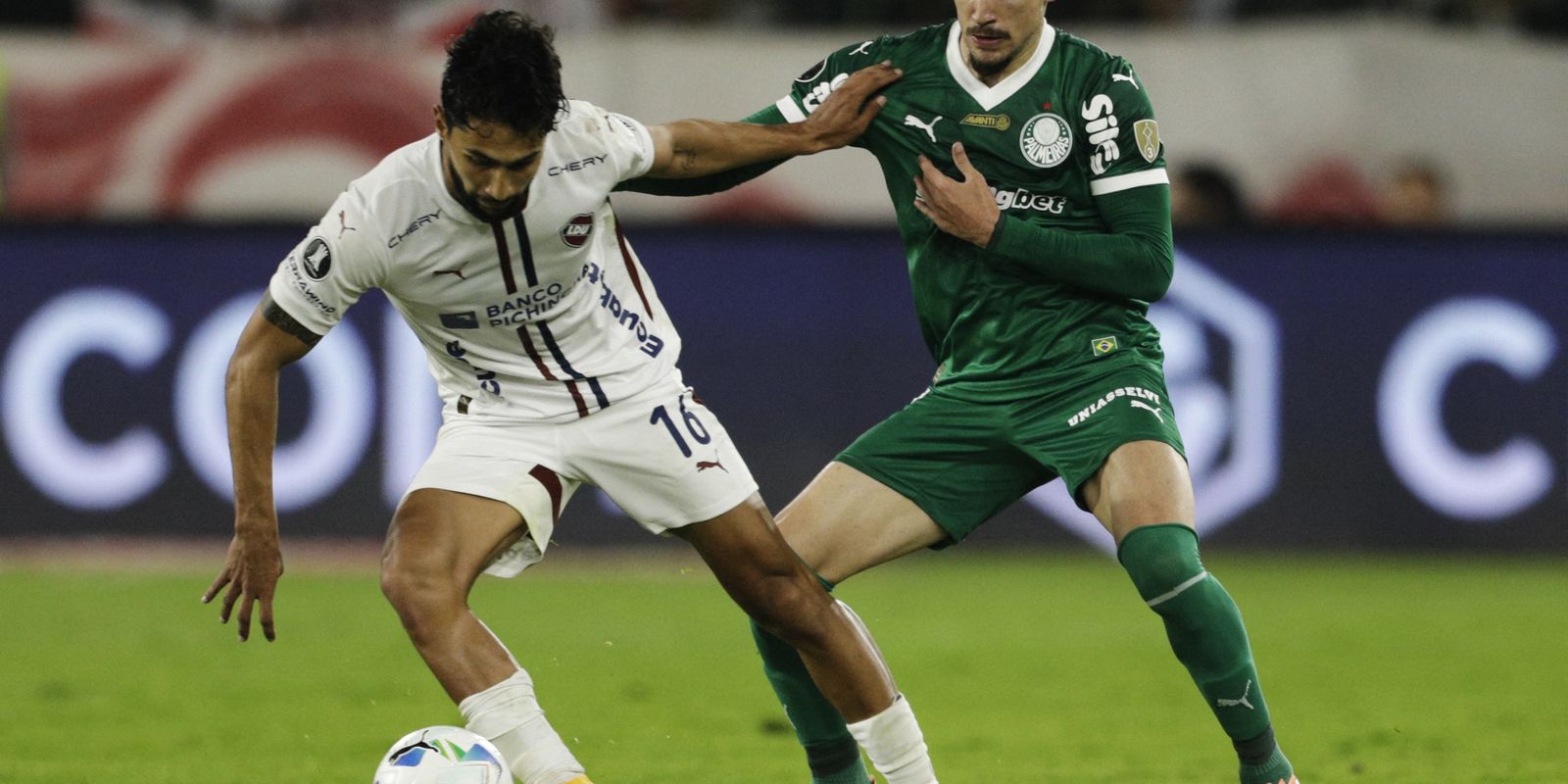 Palmeiras busca heroica virada contra ldu na libertadores