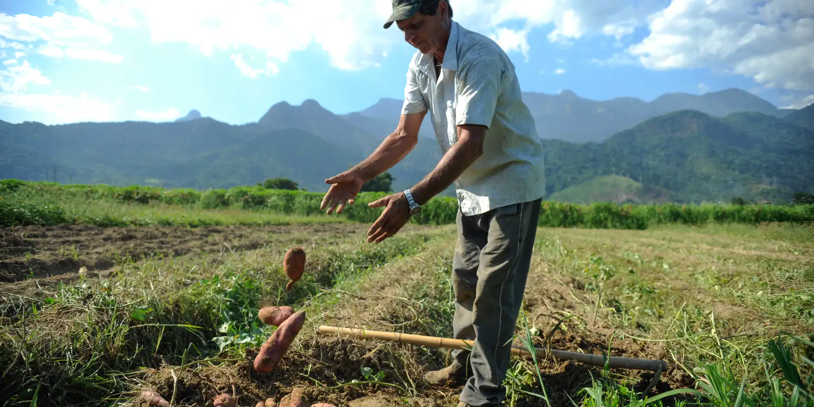 Bndes libera r$ 12 bi para produtores rurais afetados por perdas