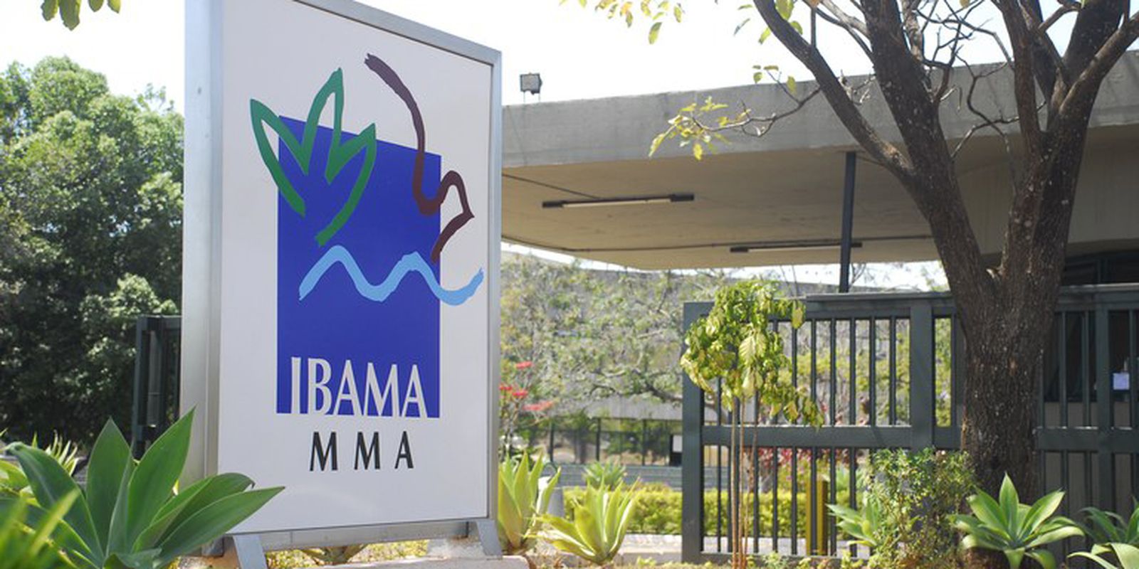 Ibama nega licença para usina termelétrica em brasília devido a riscos ambientais