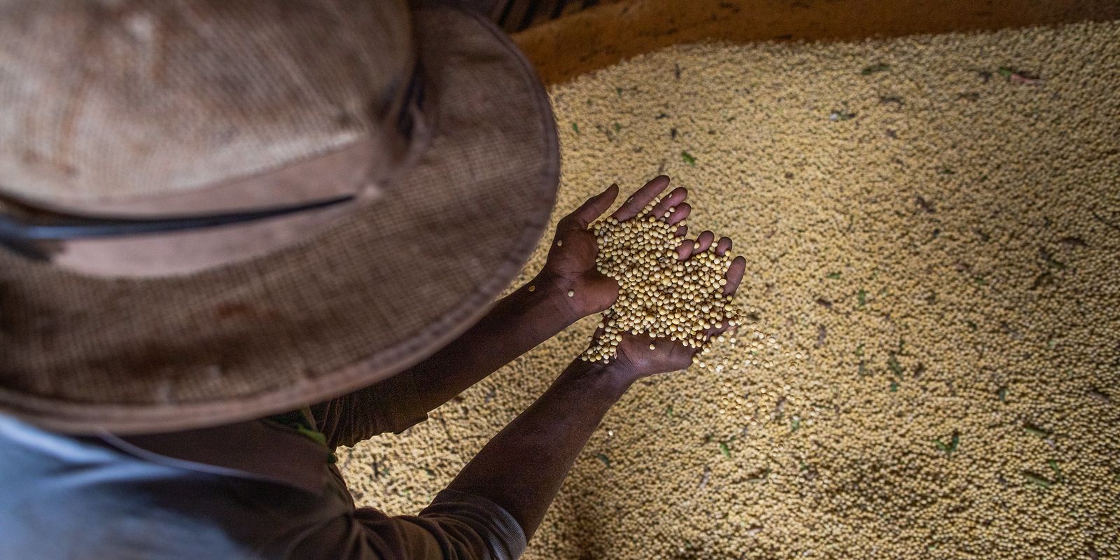 Livro apresenta soluções climáticas para agricultura tropical brasileira