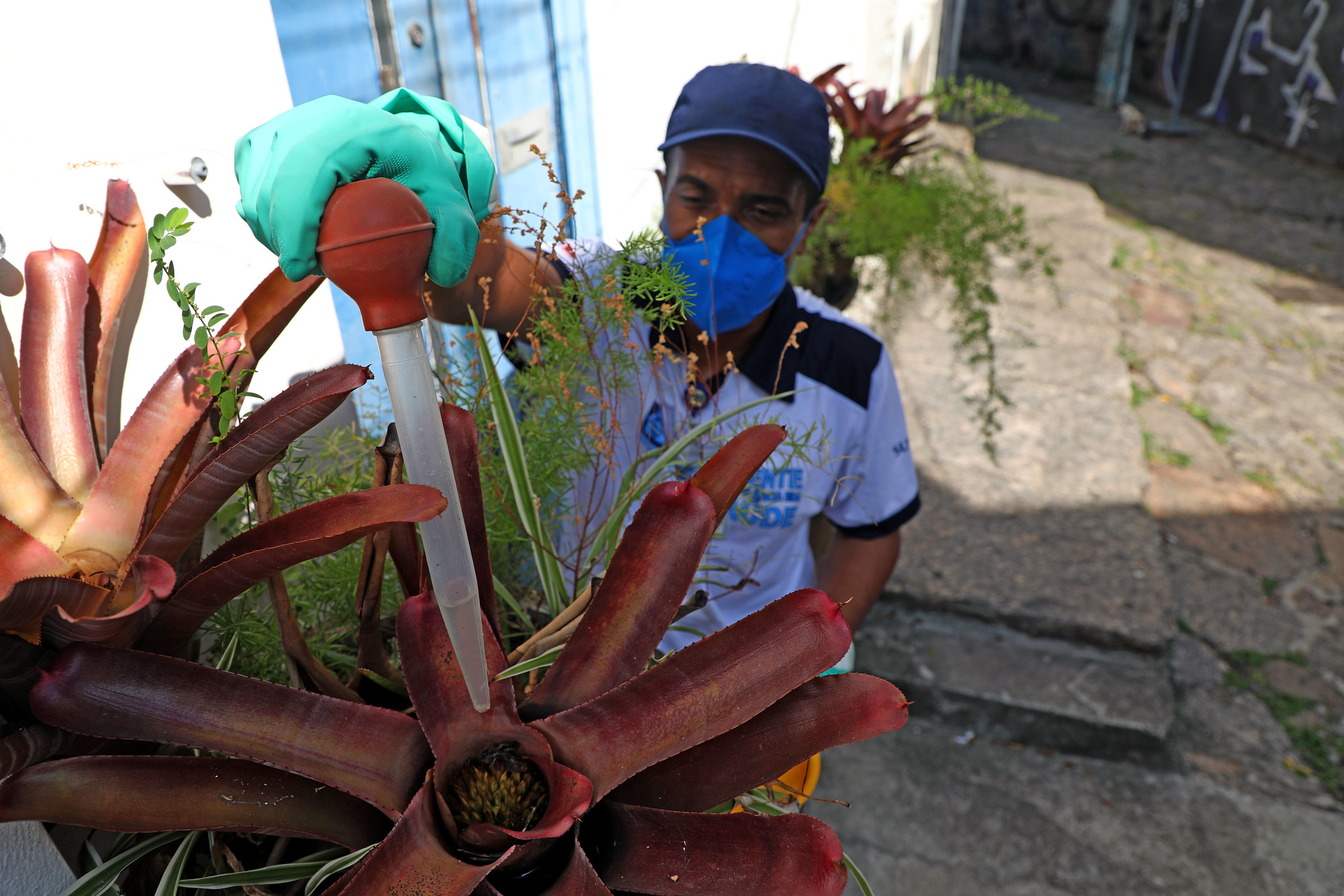 Rio intensifica combate a dengue, zika e chikungunya