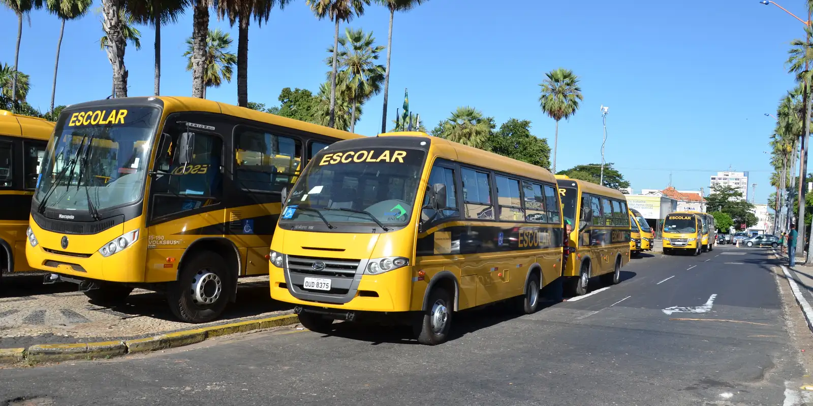 Nova legislação garante repasses para alimentação e transporte escolar