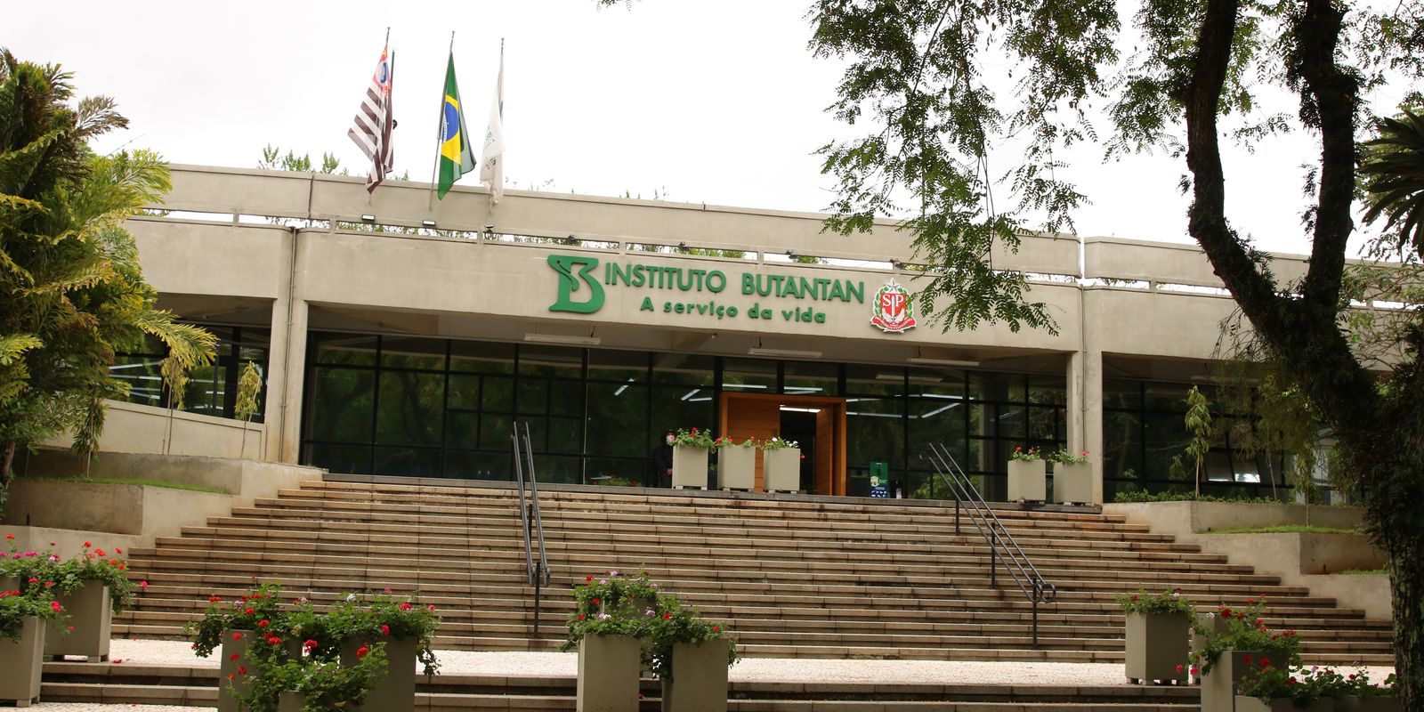Ms aprova parcerias para produzir remédios para o sus