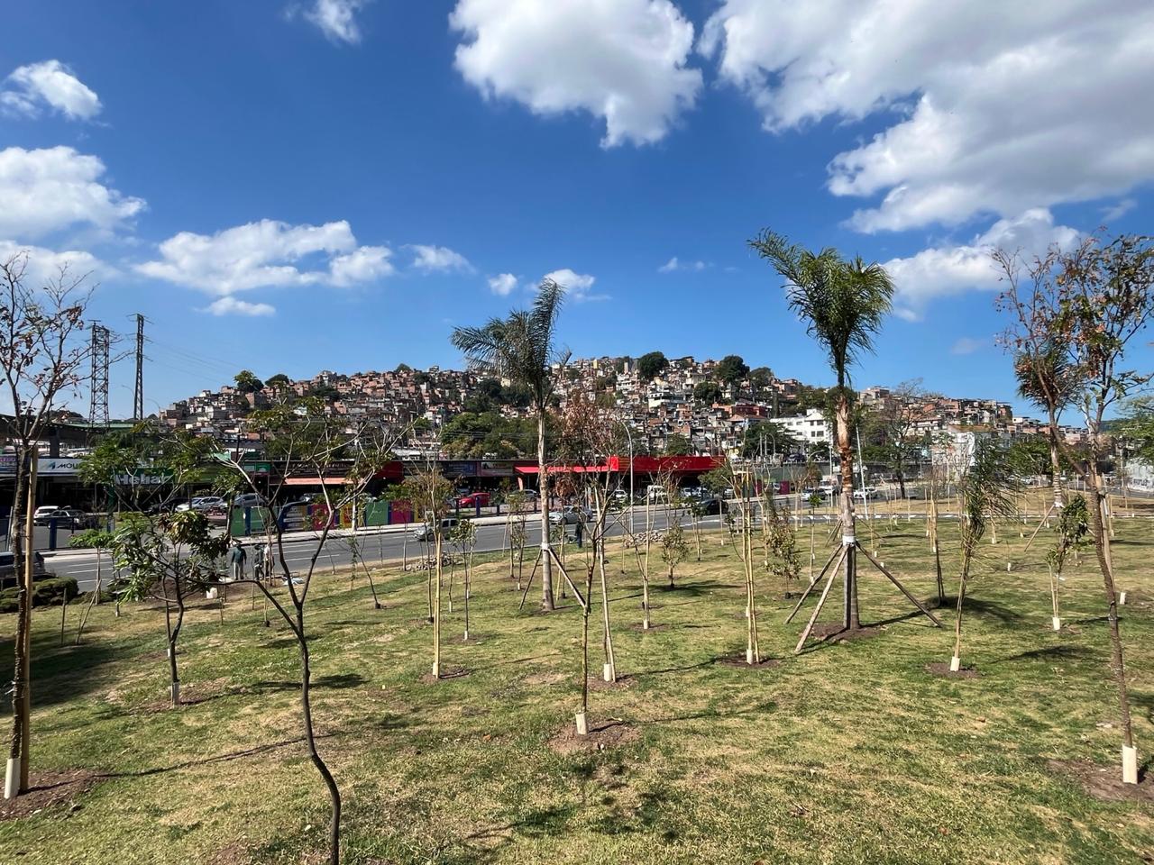 Rio de Janeiro inaugura Bosque do Samba e lança Folia Verde 2026 para um Carnaval sustentável