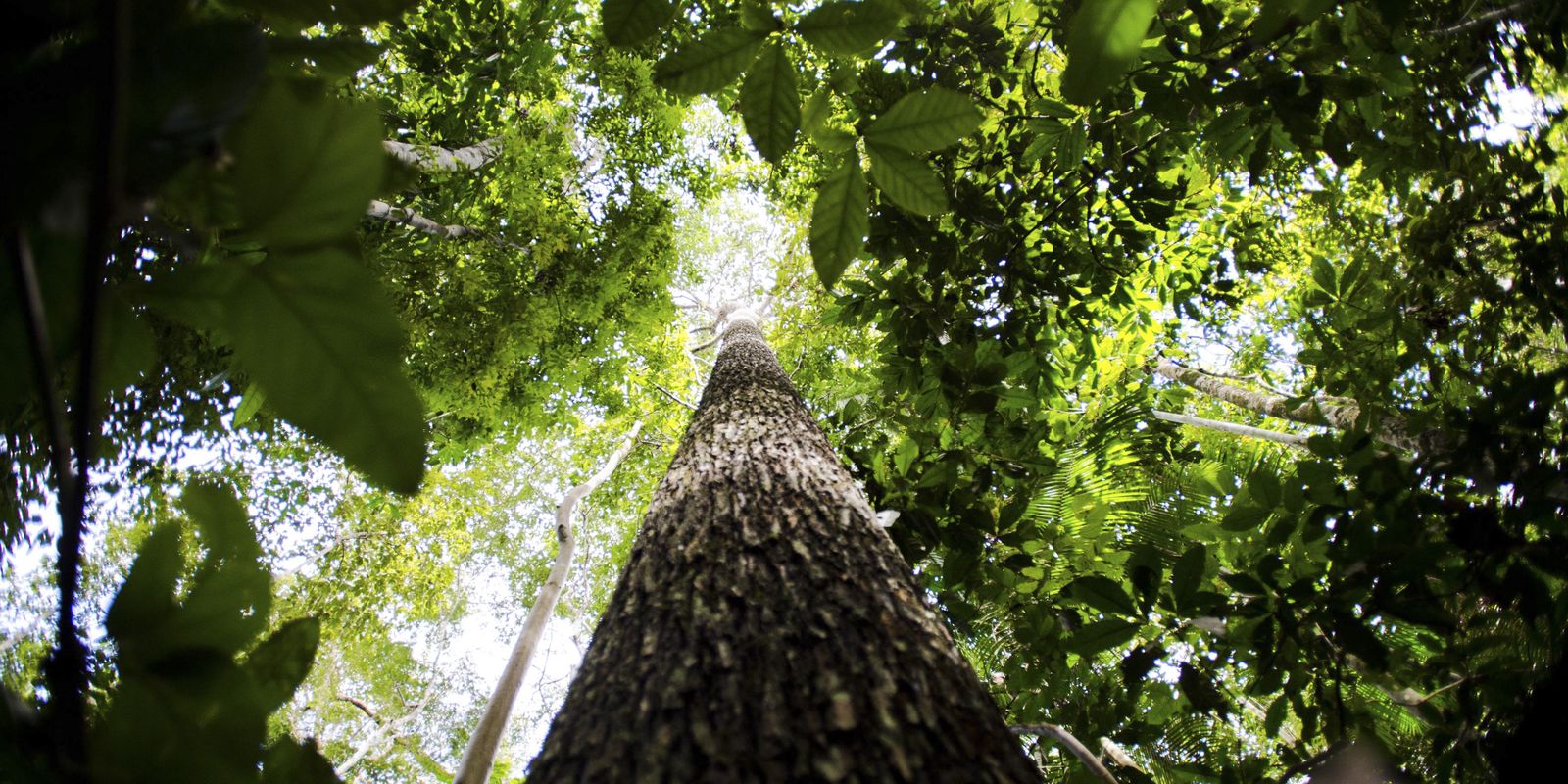 Governo federal estuda novas regras para o licenciamento ambiental