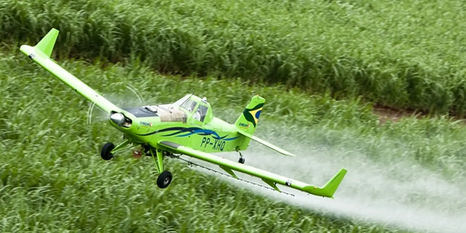 Alerta global: agrotóxicos ficam mais tóxicos e Brasil é um dos líderes, revela estudo