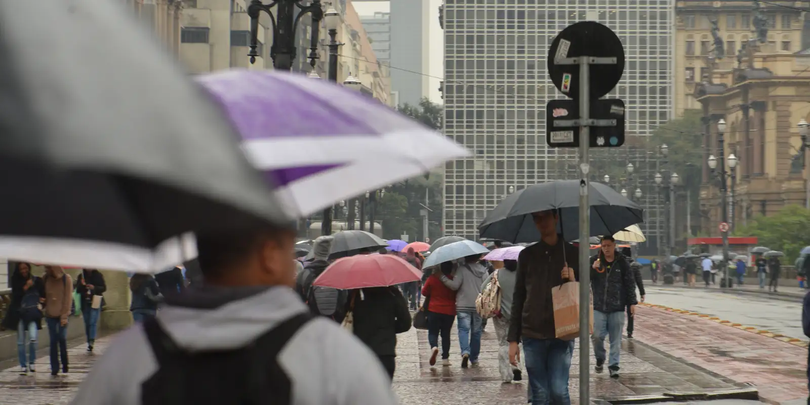 Alerta de chuvas extremas em SP: Defesa Civil retoma gabinete de crise