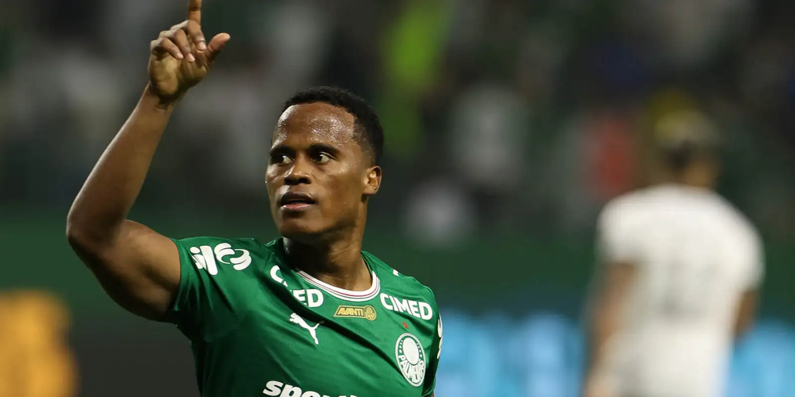 Palmeiras assume liderança isolada do Brasileirão; São Paulo e Botafogo despencam na tabela