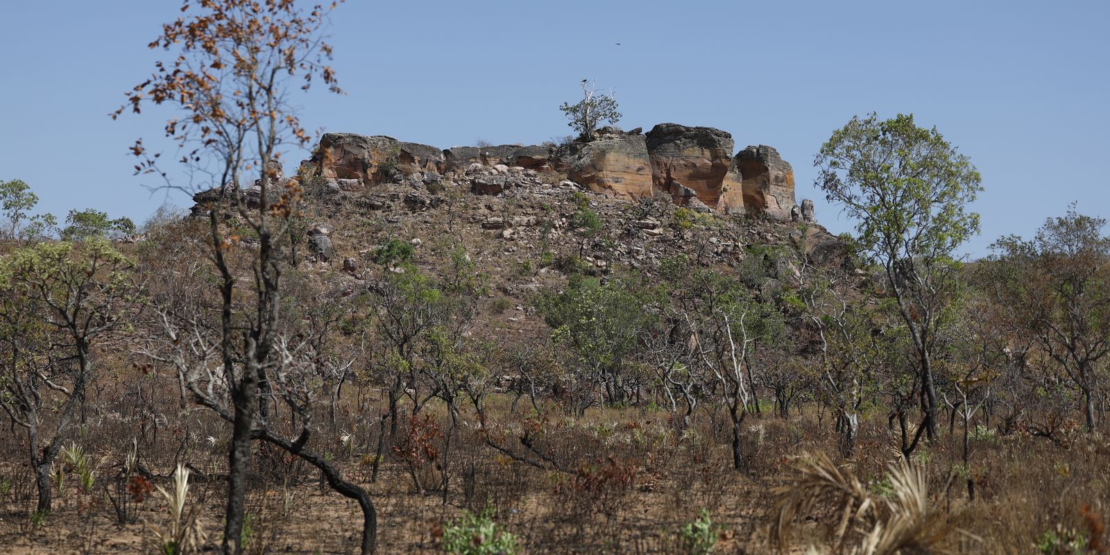 Descoberta inédita: IA mapeia terras agrícolas abandonadas no Cerrado para restauração ambiental