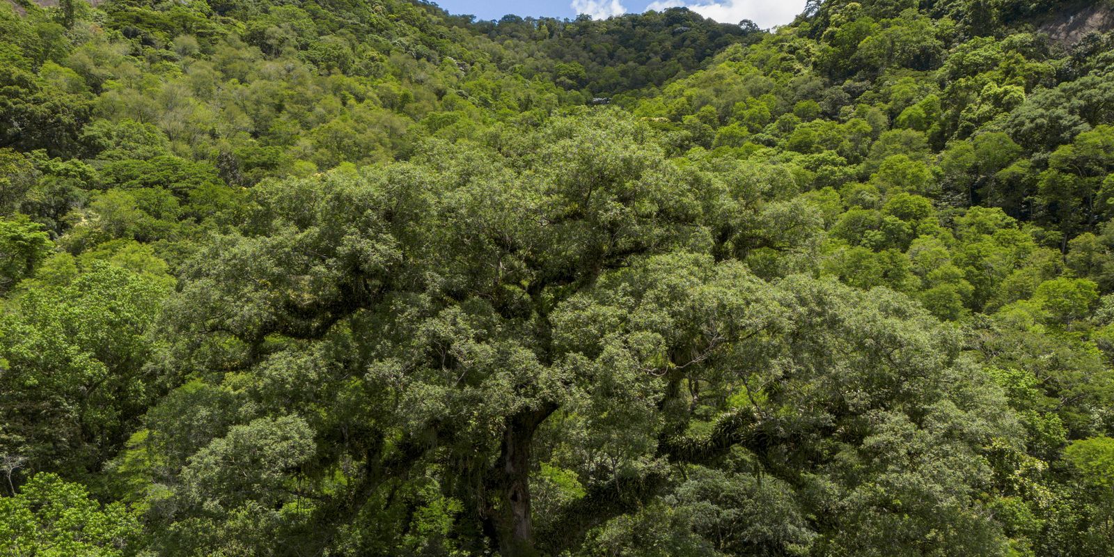TV Brasil anuncia 12 novas produções espetaculares sobre natureza e meio ambiente