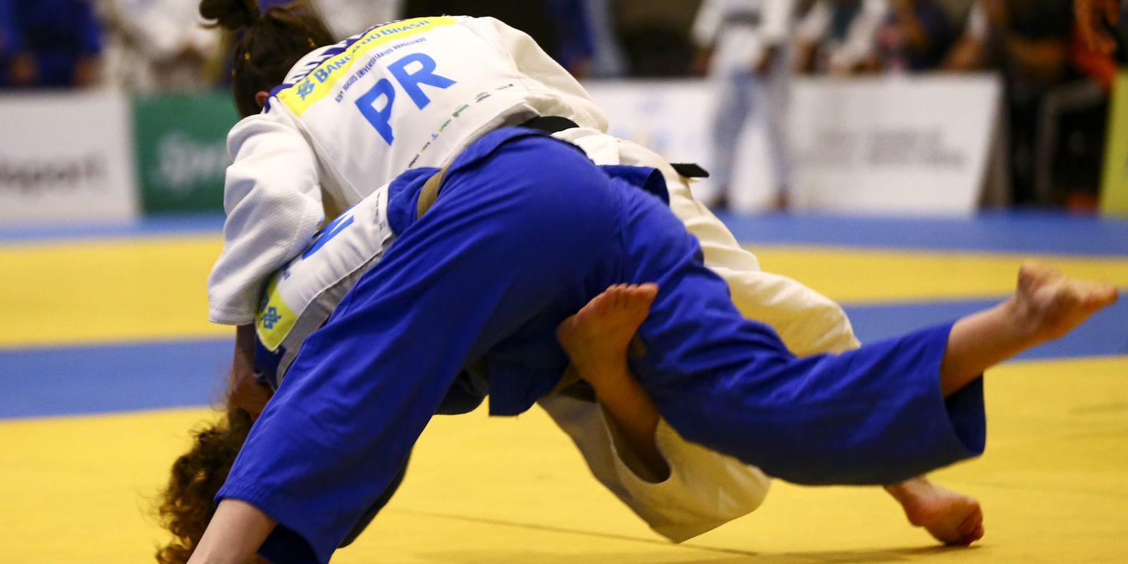 Bolsa Atleta 2026: veja a lista completa dos mais de 10 mil atletas aprovados
