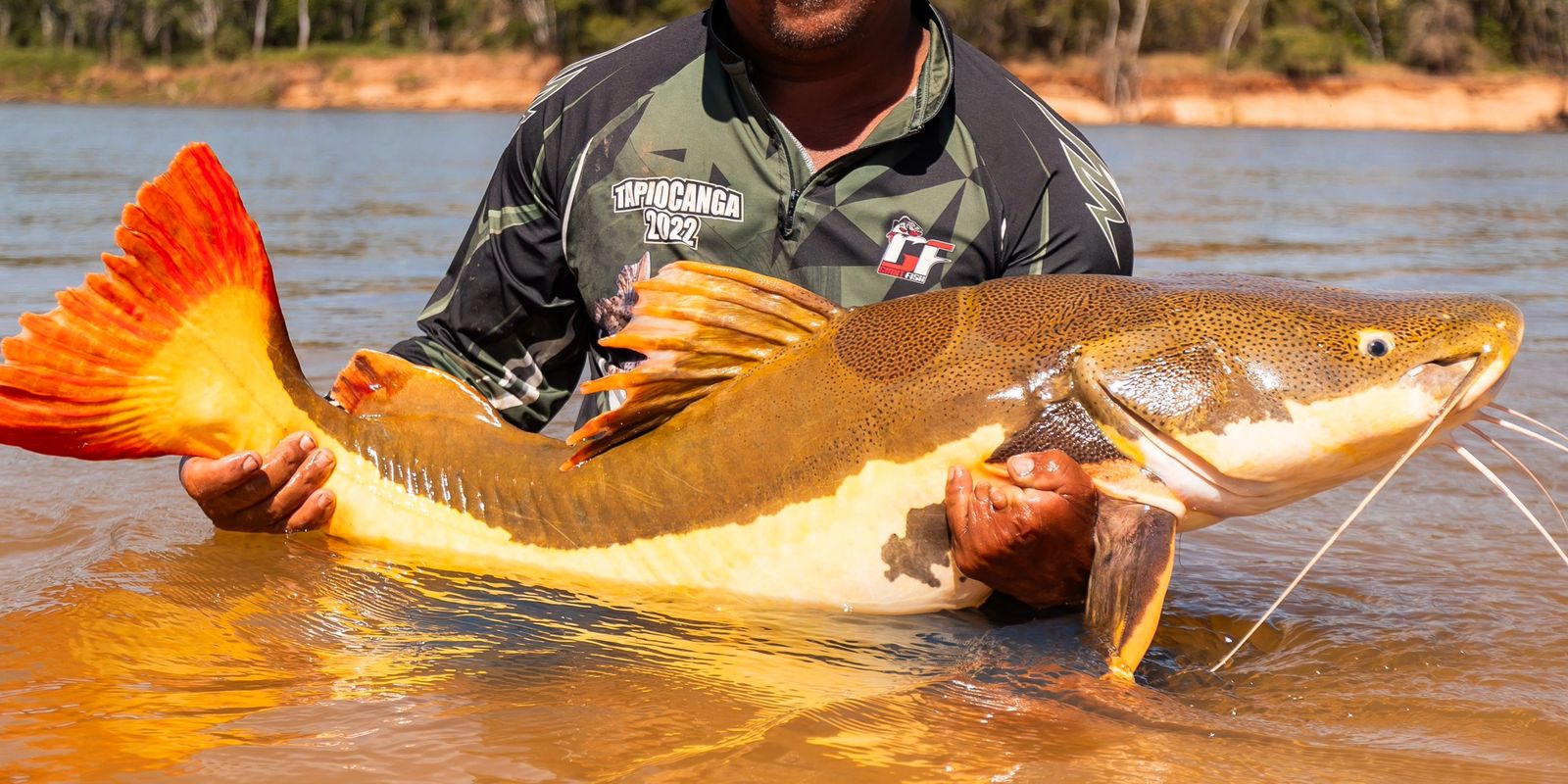 Amazônia celebra: bagres gigantes e ariranhas recebem proteção inédita em acordo global
