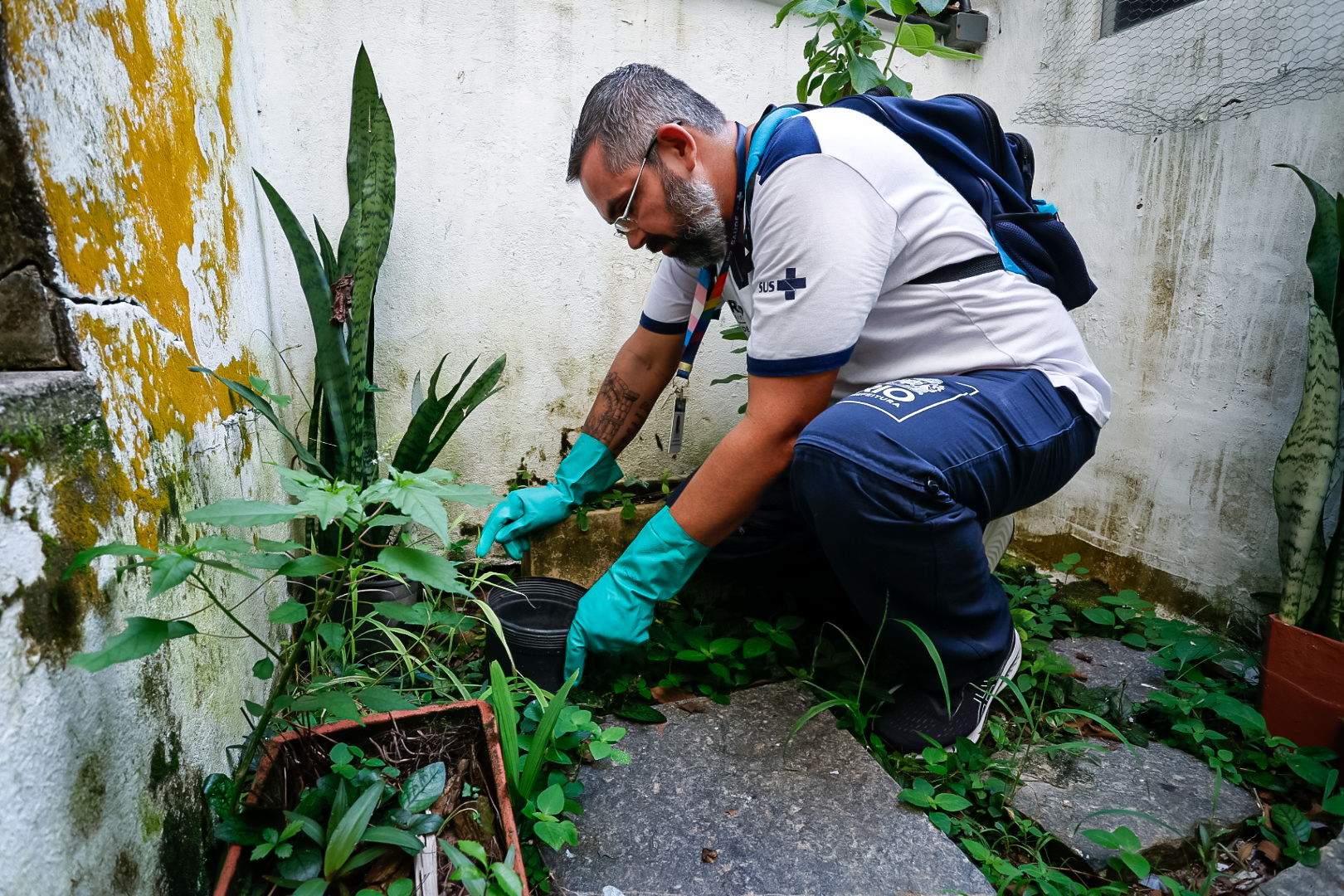 Santa Teresa recebe nova ação para intensificar combate à dengue e zika