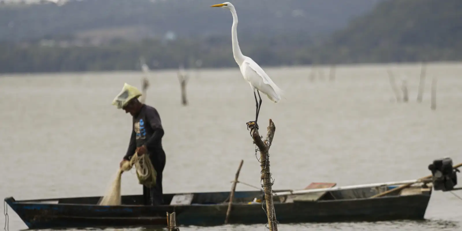 Seguro-defeso: novas regras prometem fim das fraudes e benefício garantido a pescadores