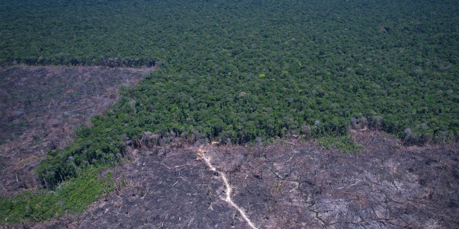 Acelerador global: Brasil e países da COP propõem plano para o clima