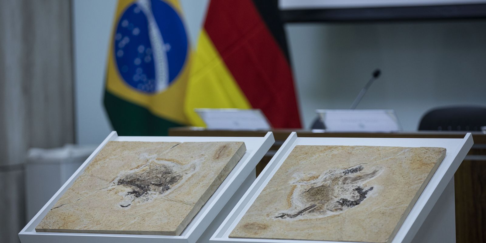 Brasil luta para repatriar dinossauros e patrimônios em 14 países