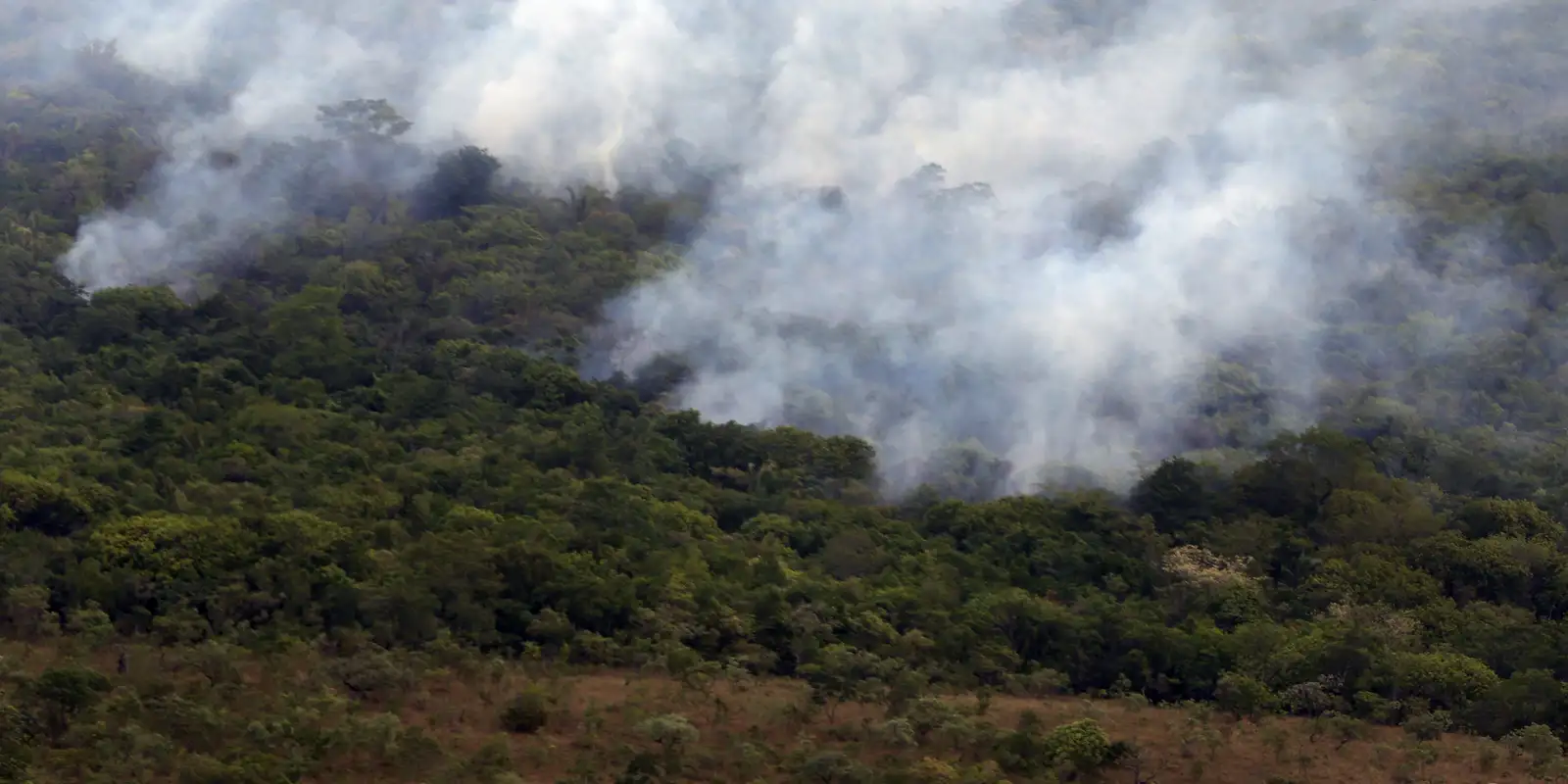 Emissão global de gases por incêndios cai para o menor nível em 24 anos, revela Copernicus
