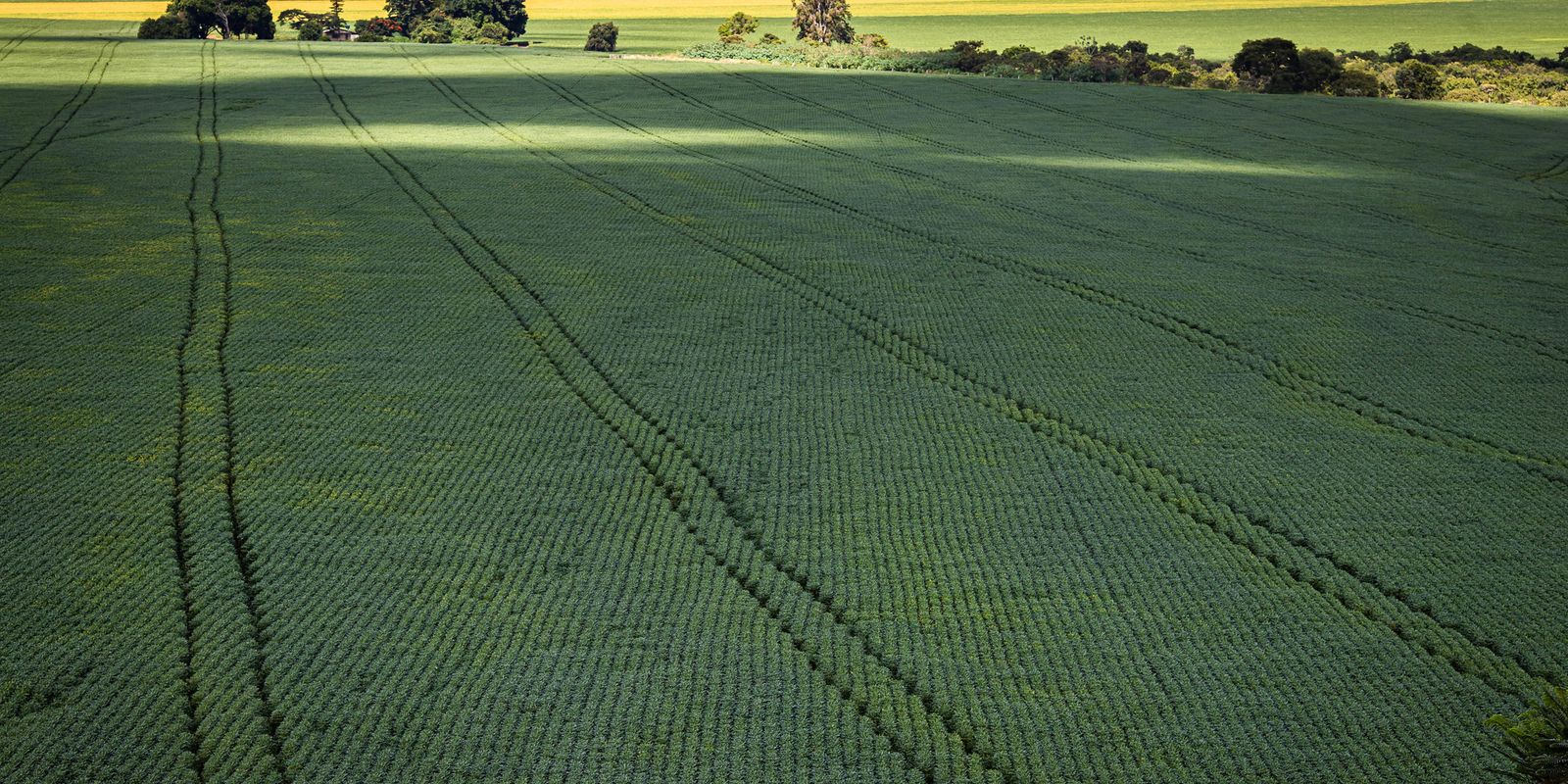 Senado aprova plano que pode mudar futuro da agricultura brasileira