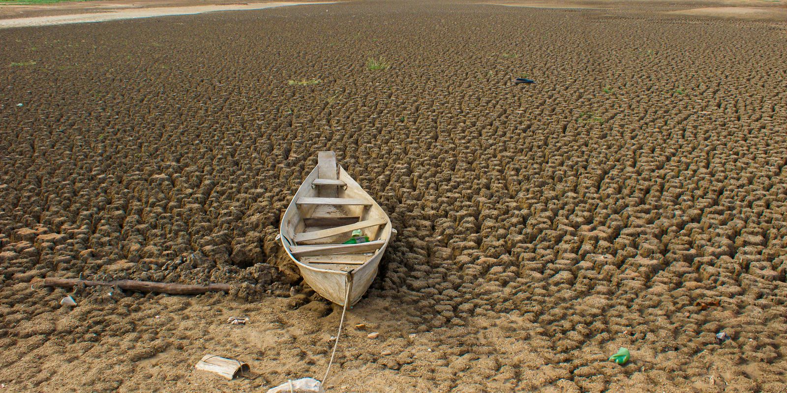 Brasil assume compromisso de restaurar mais de 163 mil km² de terras degradadas até 2030