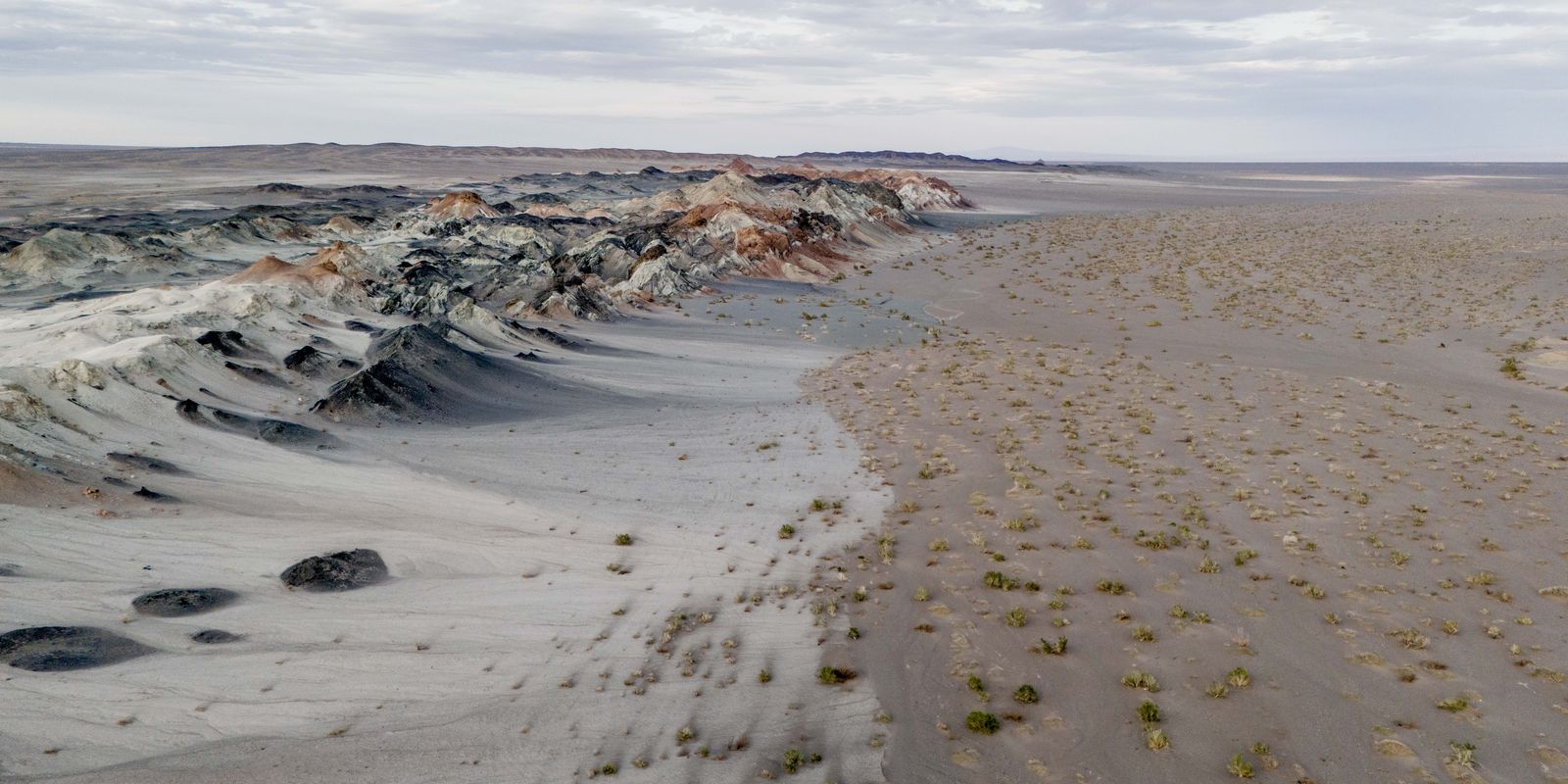 Fungos invisíveis podem salvar o planeta da crise climática