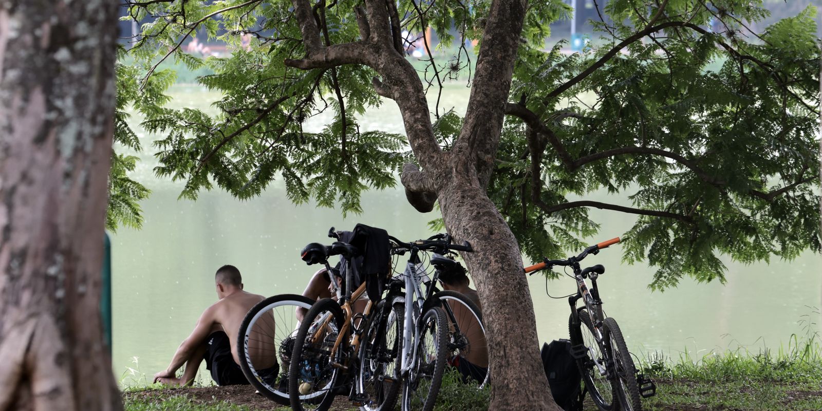 São Paulo: temperaturas disparam e fim de semana pode ter 30°C