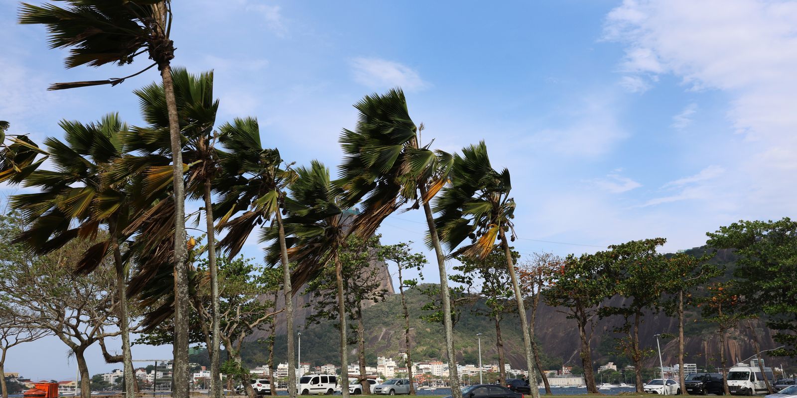 Defesa Civil emite alerta: ventos fortes e chuva intensa atingem o Rio nos próximos dias