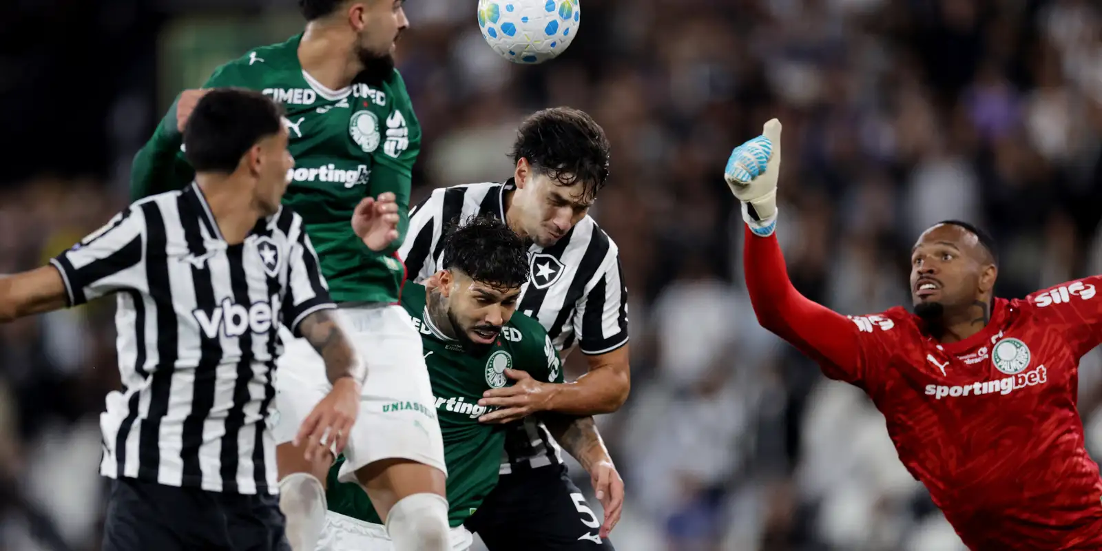 Botafogo frustra Palmeiras em clássico e Flamengo dispara na liderança do Brasileirão