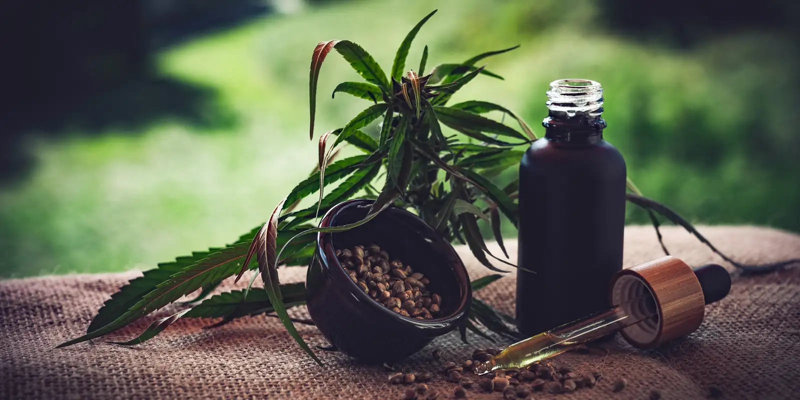 Associações expõem falhas na regulamentação da cannabis medicinal no Brasil