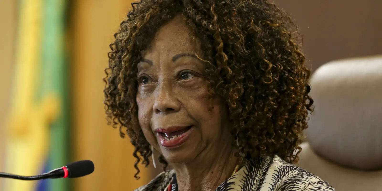 Livro sobre Helena Theodoro celebra a força e o legado das Tias Negras