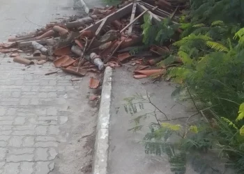 Árvore cai sobre ponto de ônibus na Baía Formosa e mobiliza Defesa Civil em Búzios