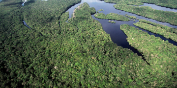 Desmatamento na Amazônia e no Cerrado atinge menor taxa histórica em 2026