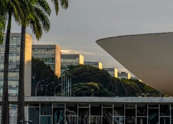 Nikolas Ferreira e Lucas Pavanato superam 3 milhões de votos e lideram entre deputados federais